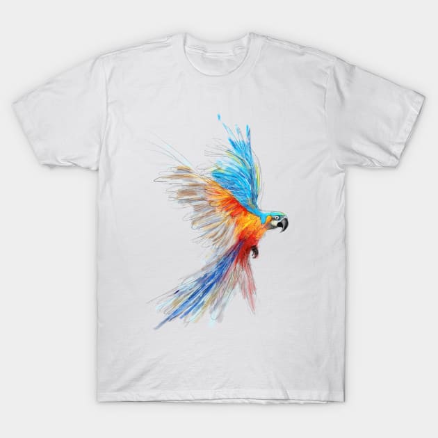 Parrot Sketch T-Shirt by Kelimok